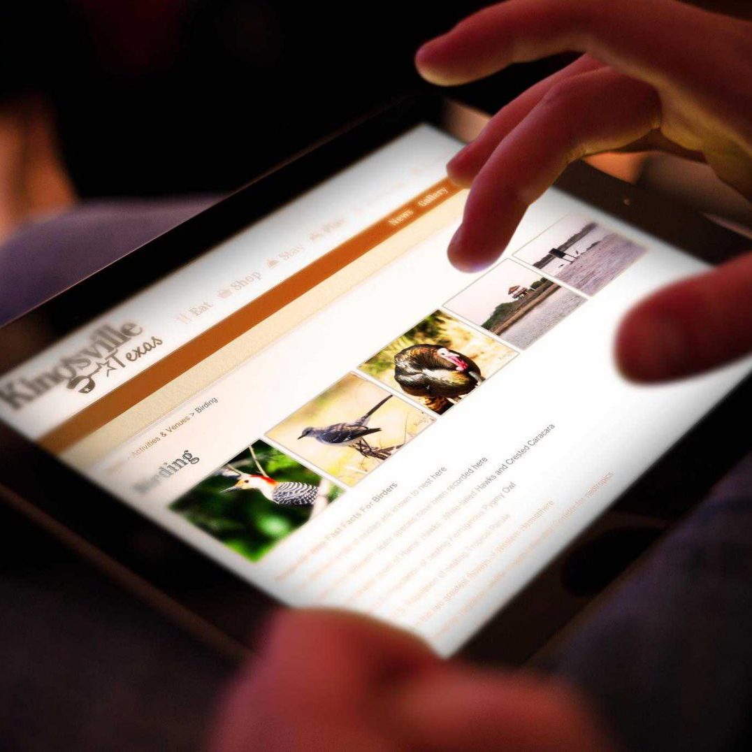 Kingsville Texas birding page mockup on iPad showing responsive layout and gallery