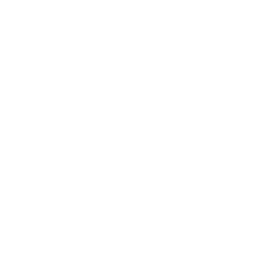 AI Consultation/Integration