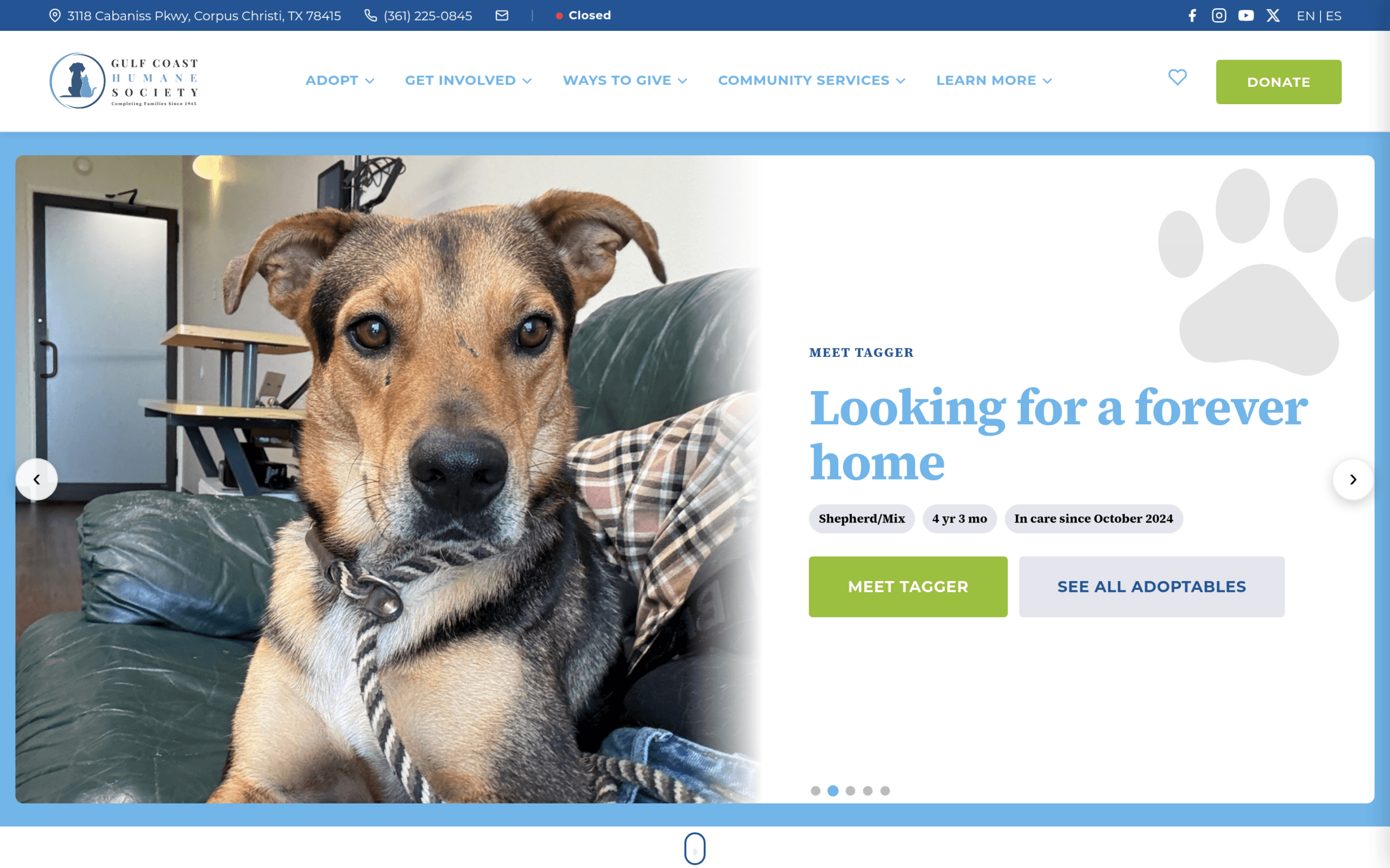 Gulf Coast Humane Society website, desktop view