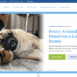 Gulf Coast Humane Society homepage showing a hero adoption banner and a grid of adoptable pets pulled from ShelterLuv.