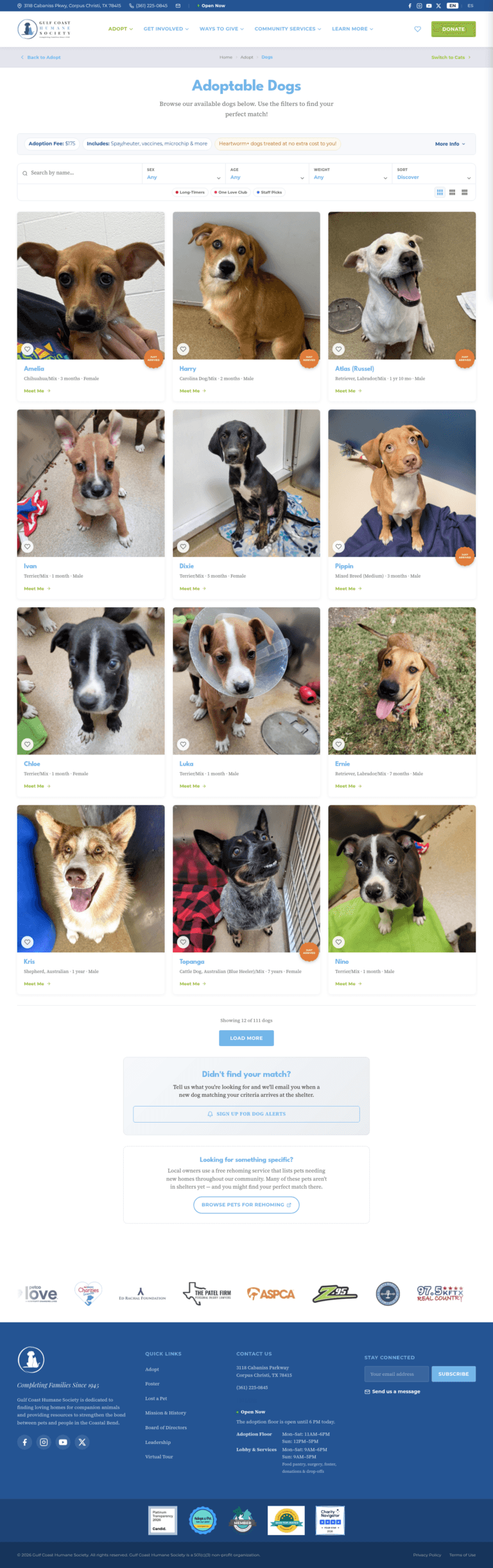 Adopt a Dog Page — Gulf Coast Humane Society