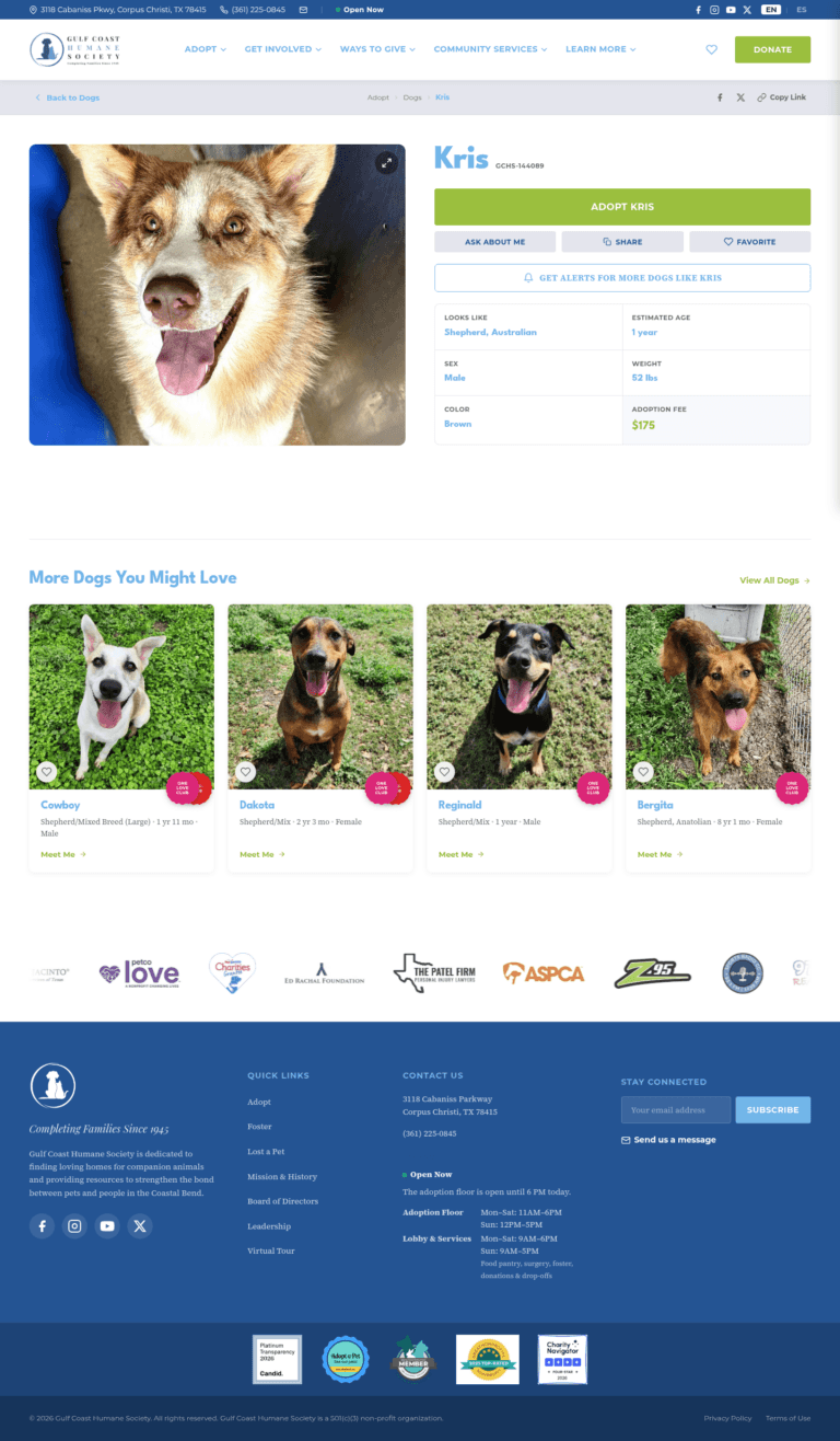 Individual Animal Adoption Page — Gulf Coast Humane Society